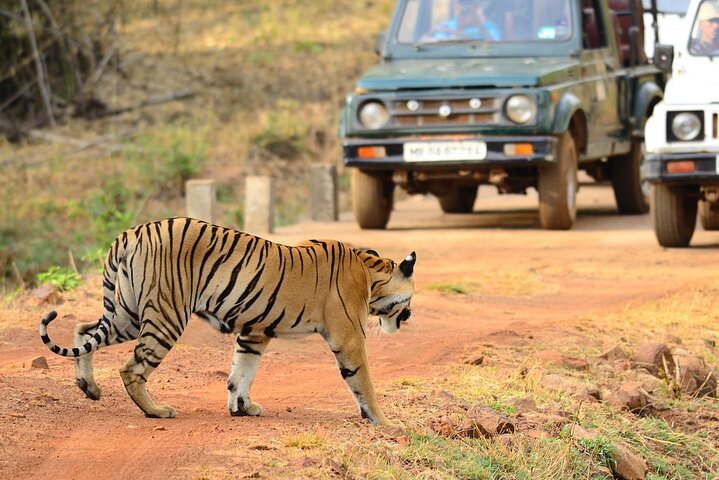 Bandhavgarh National Park Travel Package