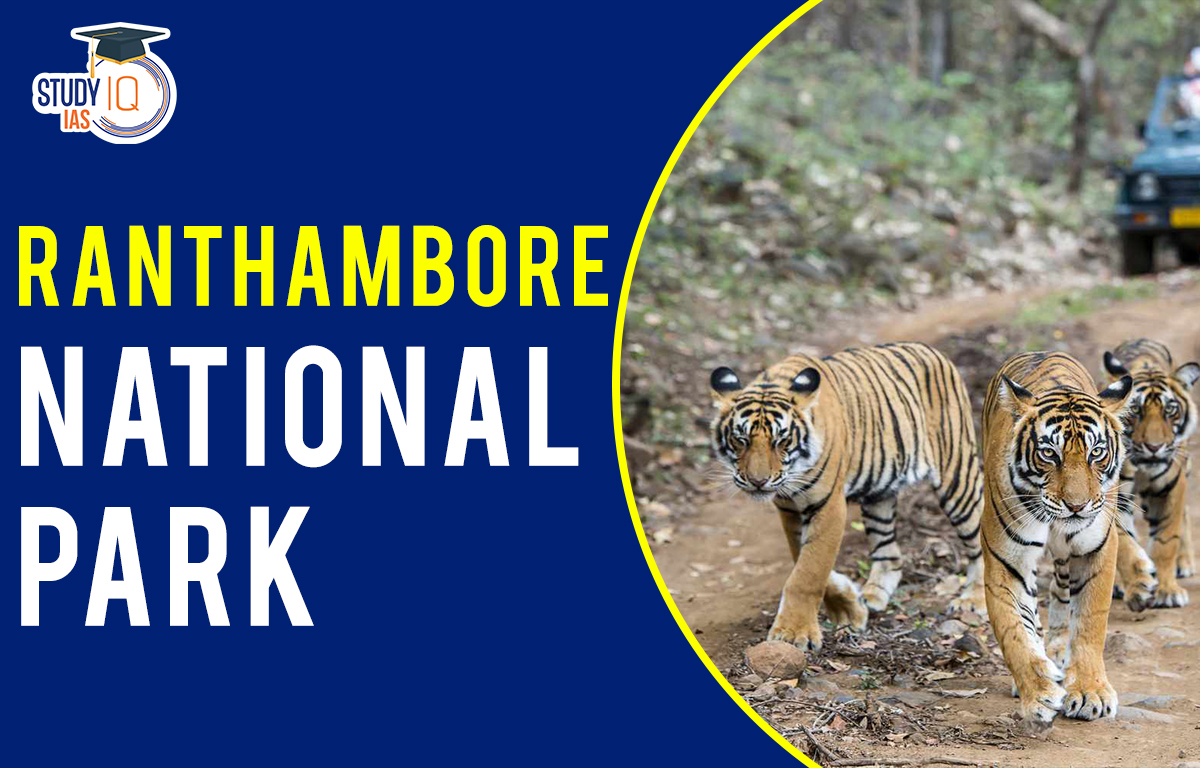 Ranthambore National Park Travel Package