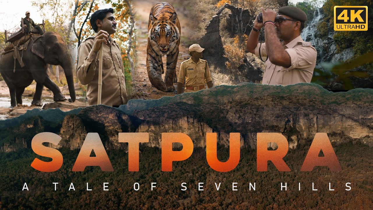 Saputara Travel Package